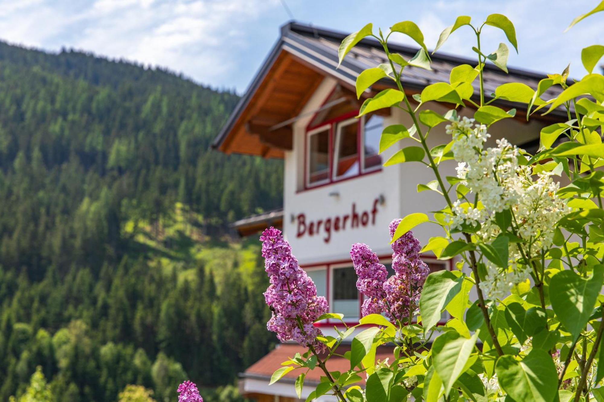 Hotel Bergerhof Ramsau am Dachstein Exterior foto